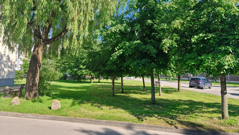 Parduodamas butas P. Vileišio g., Mažeikių m., Mažeikių r. sav., 44.8 m2 ploto, 2 kambariai 12
