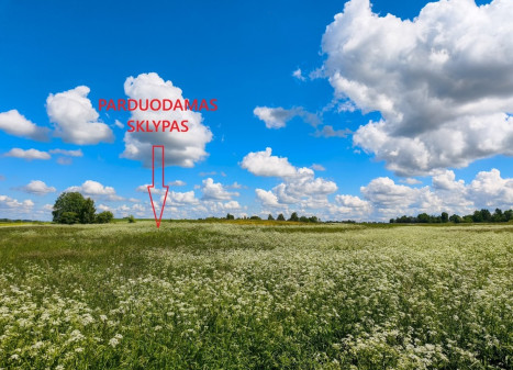 Parduodamas  sklypas Bulvėniškio 1-oji g., Bulvėniškio k., Rokiškio r. sav., 15.87 a ploto