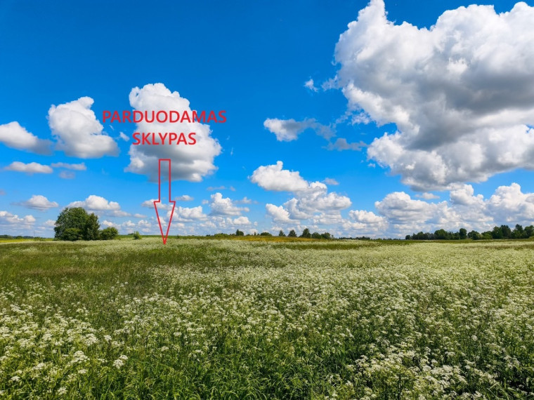Parduodamas  sklypas Bulvėniškio 1-oji g., Bulvėniškio k., Rokiškio r. sav., 15.87 a ploto 1