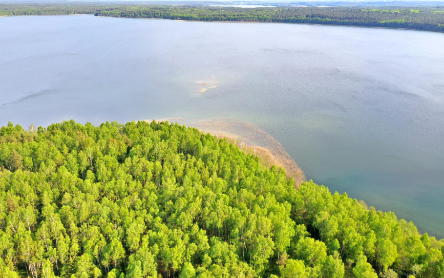 Parduodamas sklypas Kaziūriškių k., Zarasų r. sav., 1200.00 a ploto 2