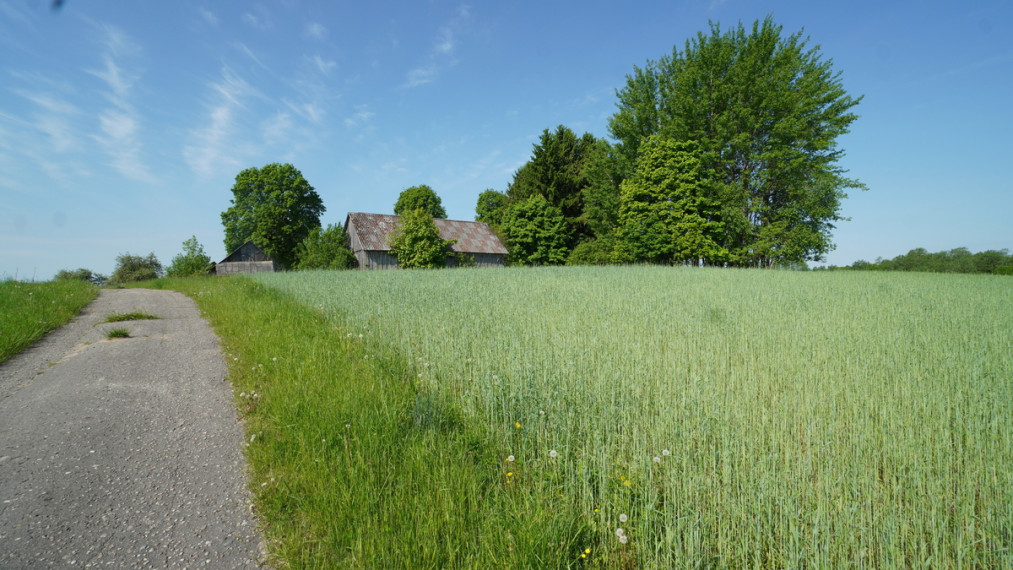Parduodamas namas Vaitkūnų g., Nemaitonių k., Kaišiadorių r. sav., 71.63 m2 ploto 8