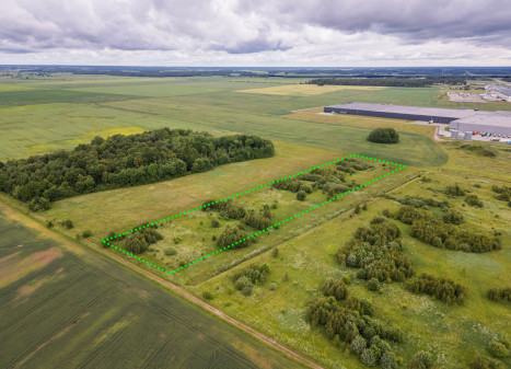 Parduodamas sklypas Dirvupių k., Klaipėdos r. sav., 175 a ploto Parduodamas sklypas Dirvupių k., Klaipėdos r. sav., 175 a ploto