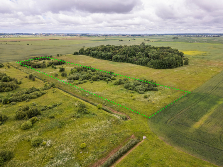 Parduodamas  sklypas Dirvupių k., Klaipėdos r. sav., 175 a ploto 9