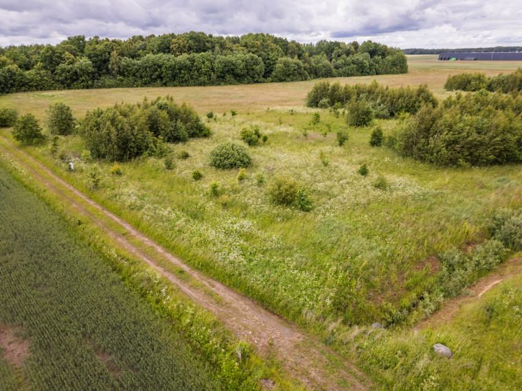 Parduodamas  sklypas Dirvupių k., Klaipėdos r. sav., 175 a ploto 10