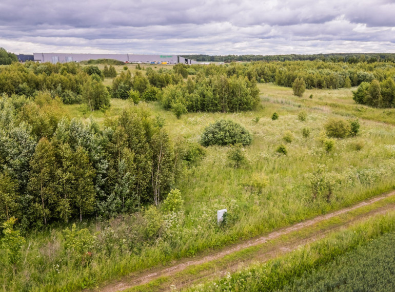 Parduodamas  sklypas Dirvupių k., Klaipėdos r. sav., 175 a ploto 11