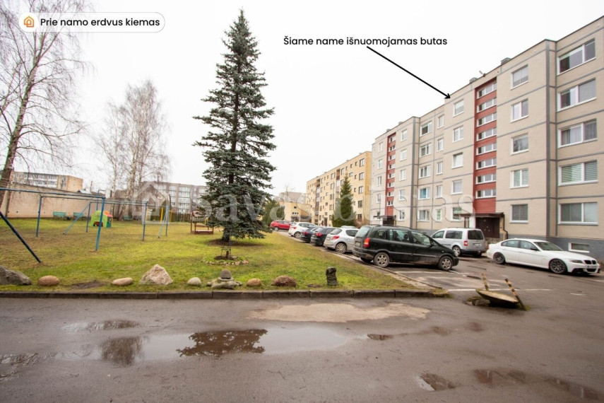 Nuomojamas butas Energetikų g., Šiaulių m., Šiaulių m. sav., 36 m2 ploto, 1 kambariai 16