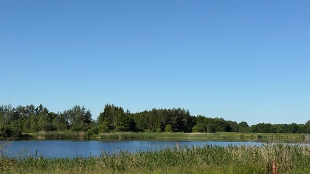 Parduodamas  sklypas Labūnavos k., Kėdainių r. sav., 60 a ploto 8