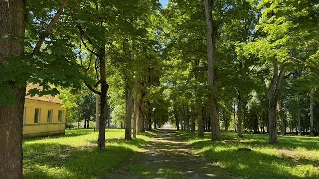 Parduodamas namas Liepų al., Lančiūnavos k., Kėdainių r. sav., 1231 m2 ploto 5