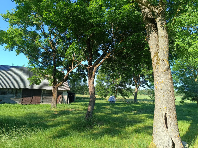 Parduodamas namas Pievų g., Balbutų k., Varėnos r. sav., 75.00 m² ploto 3 kambariai 8