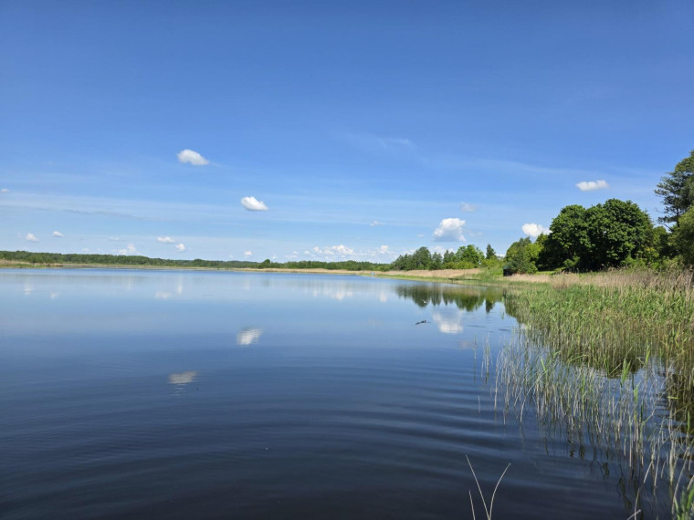 Parduodamas namas Stravų k., Rokiškio r. sav., 82.00 m² ploto 4 kambariai 22