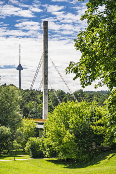 Parduodamas namų valdos paskirties sklypas Birutės g., Žvėrynas, Vilniaus m., Vilniaus m. sav., 4.43 a ploto 5