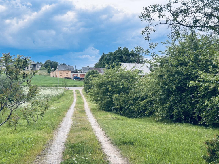 Parduodamas namas Kražių mstl., Kelmės r. sav., 271.00 m² ploto 6 kambariai 19