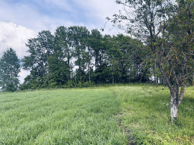 Parduodamas namas Kražių mstl., Kelmės r. sav., 271.00 m² ploto 6 kambariai 7