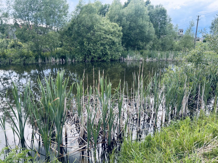 Parduodamas namas Kražių mstl., Kelmės r. sav., 271.00 m² ploto 6 kambariai 8