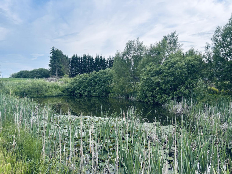 Parduodamas namas Kražių mstl., Kelmės r. sav., 271.00 m² ploto 6 kambariai 9