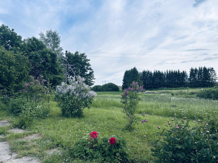 Parduodamas namas Kražių mstl., Kelmės r. sav., 271.00 m² ploto 6 kambariai 10