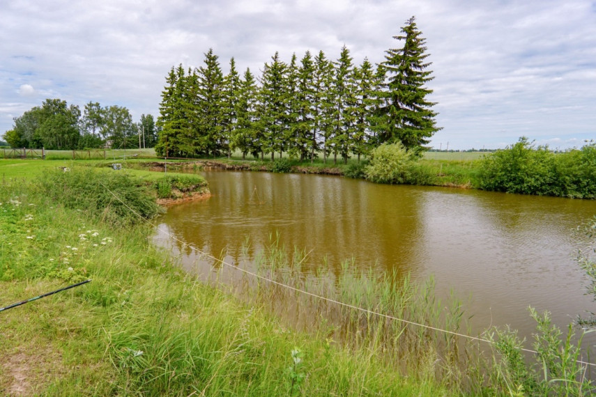 Parduodamas namas Valdeikių k., Radviliškio r. sav., 95.13 m2 ploto, 1 aukštai 32