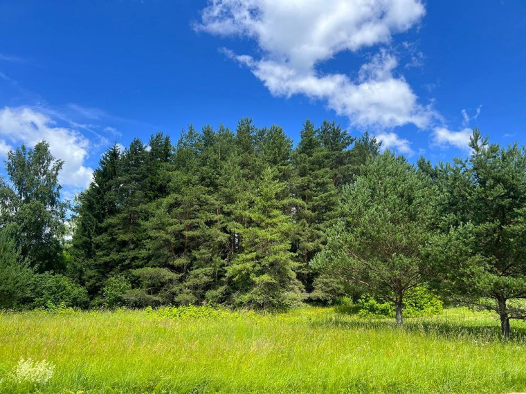 Parduodamas namas Danilaukos k., Rokiškio r. sav., 98.44 m² ploto 3 kambariai 29