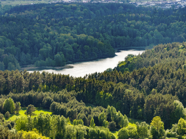 Parduodamas namas Toleikių g., Balsiai, Vilniaus m., Vilniaus m. sav., 133 m2 ploto, 2 aukštai 19