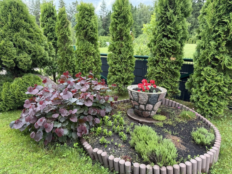 Parduodamas namas Žibintų g., Pašvinių k., Šiaulių r. sav., 80 m2 ploto, 1 aukštai 10