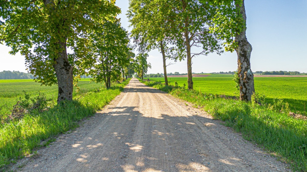 Parduodamas  sklypas Ąžuolų g., Kurkliškių k., Elektrėnų sav., 499.15 a ploto 6