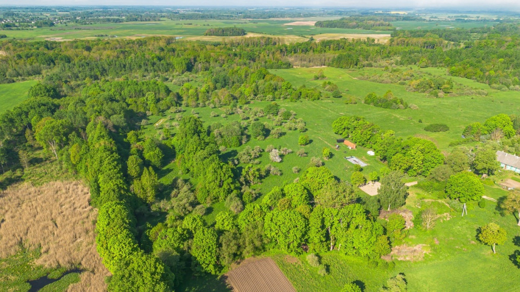 Parduodamas  sklypas Ąžuolų g., Kurkliškių k., Elektrėnų sav., 499.15 a ploto 10