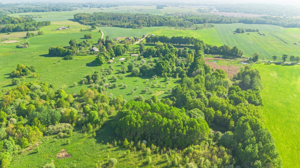 Parduodamas  sklypas Ąžuolų g., Kurkliškių k., Elektrėnų sav., 499.15 a ploto 13