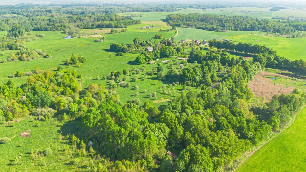 Parduodamas  sklypas Ąžuolų g., Kurkliškių k., Elektrėnų sav., 499.15 a ploto 14