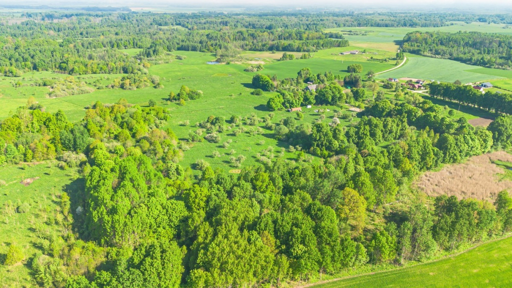 Parduodamas  sklypas Ąžuolų g., Kurkliškių k., Elektrėnų sav., 499.15 a ploto 15