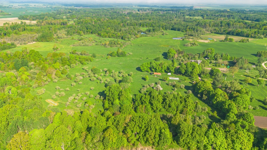 Parduodamas  sklypas Ąžuolų g., Kurkliškių k., Elektrėnų sav., 499.15 a ploto 17
