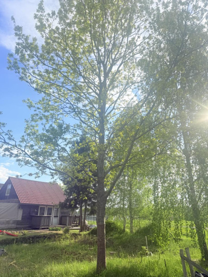 Parduodamas sklypas Salininkų Sodų 8-oji g., Salininkai, Vilniaus m., Vilniaus m. sav., 4.00 a ploto 3