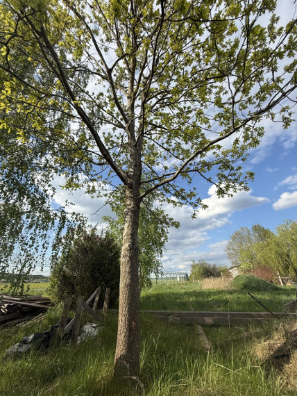 Parduodamas sklypas Salininkų Sodų 8-oji g., Salininkai, Vilniaus m., Vilniaus m. sav., 4.00 a ploto 4