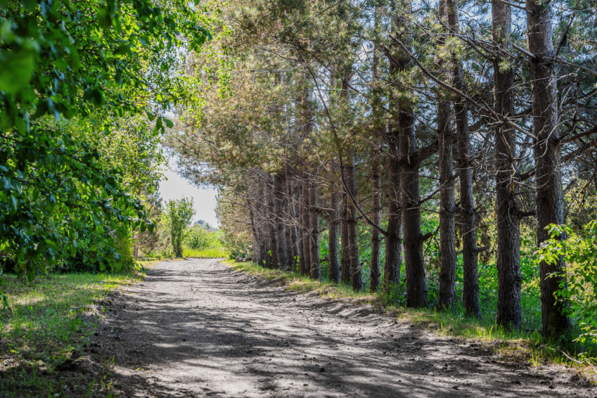 Parduodamas  sklypas Kisupės g., Kisinių k., Klaipėdos r. sav., 158 a ploto 8