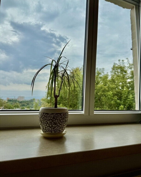 Parduodamas 1 kambario investicinis butas Tverečiaus g., Antakalnyje, Vilnius, 30.95 kv.m ploto 12