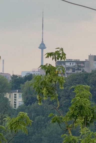 Parduodamas 1 kambario investicinis butas Tverečiaus g., Antakalnyje, Vilnius, 30.95 kv.m ploto 22