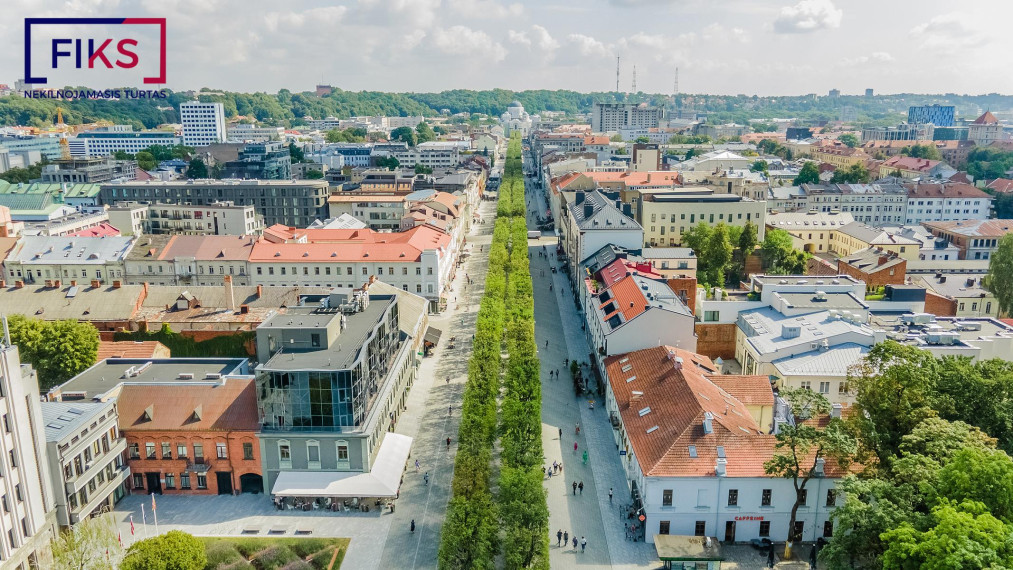 Parduodamos patalpos E. Ožeškienės g., Centras, Kauno m., Kauno m. sav., 19.84 m² ploto 21