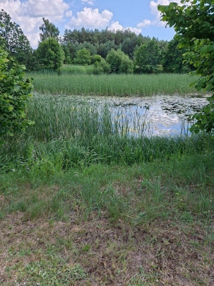 Parduodamas namas Kazlų Rūdos sav., Smalinpečio k., Smalinpečio , 160 m2 ploto, 1 aukštai 4