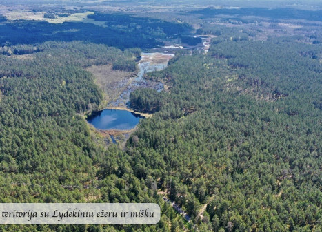 Parduodamas sklypas Šeškučių kaime, Vilniaus r., netoli Tapelio ežero, su į sklypą įeinančiu Lydekinio ežeru, 519 a ploto Parduodamas sklypas Šeškučių kaime, Vilniaus r., netoli Tapelio ežero, su į sklypą įeinančiu Lydekinio ežeru, 519 a ploto