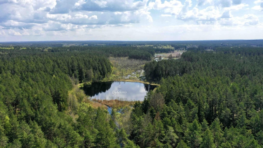Parduodamas sklypas Šeškučių kaime, Vilniaus r., netoli Tapelio ežero, su į sklypą įeinančiu Lydekinio ežeru, 519 a ploto 2