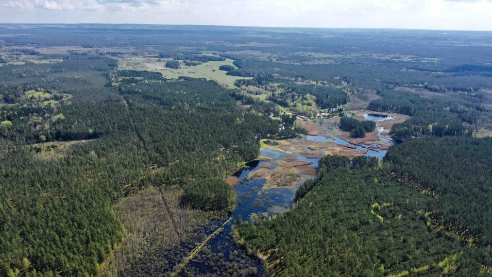 Parduodamas sklypas Šeškučių kaime, Vilniaus r., netoli Tapelio ežero, su į sklypą įeinančiu Lydekinio ežeru, 519 a ploto 5