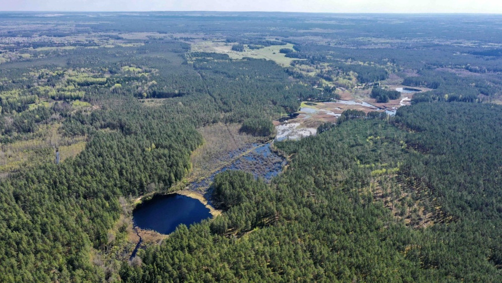 Parduodamas sklypas Šeškučių kaime, Vilniaus r., netoli Tapelio ežero, su į sklypą įeinančiu Lydekinio ežeru, 519 a ploto 6