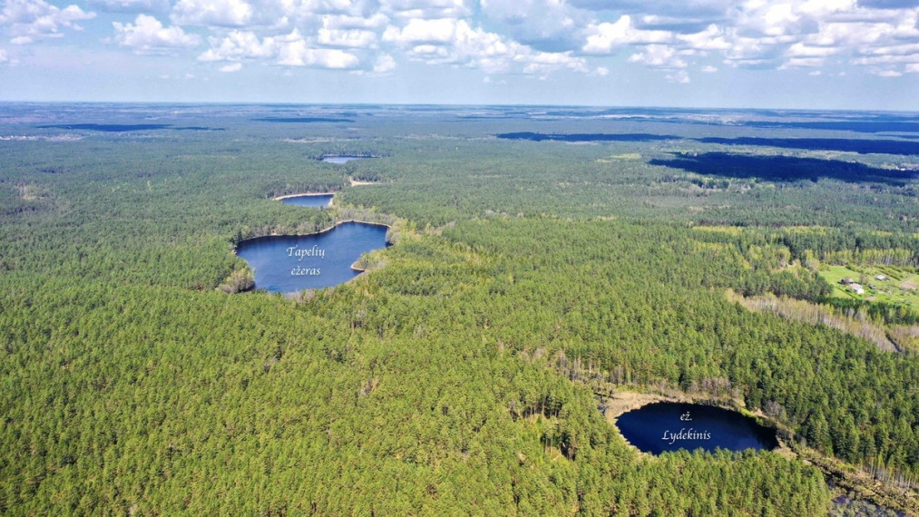 Parduodamas sklypas Šeškučių kaime, Vilniaus r., netoli Tapelio ežero, su į sklypą įeinančiu Lydekinio ežeru, 519 a ploto 7