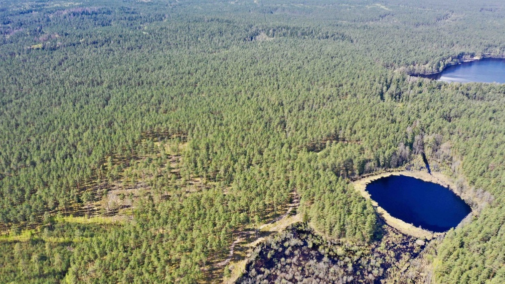 Parduodamas sklypas Šeškučių kaime, Vilniaus r., netoli Tapelio ežero, su į sklypą įeinančiu Lydekinio ežeru, 519 a ploto 9