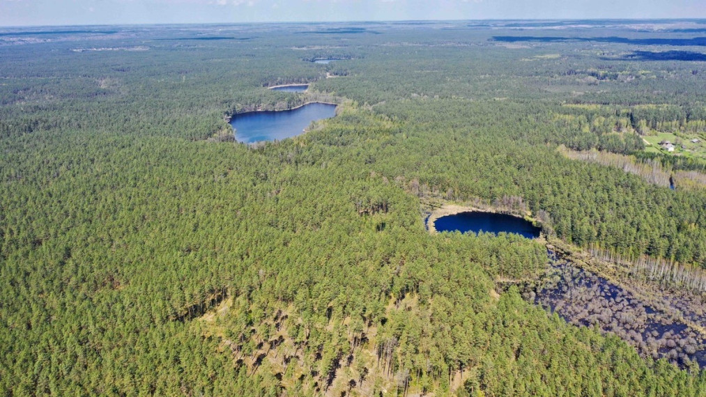 Parduodamas sklypas Šeškučių kaime, Vilniaus r., netoli Tapelio ežero, su į sklypą įeinančiu Lydekinio ežeru, 519 a ploto 10