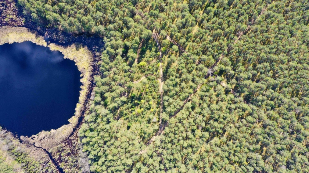 Parduodamas sklypas Šeškučių kaime, Vilniaus r., netoli Tapelio ežero, su į sklypą įeinančiu Lydekinio ežeru, 519 a ploto 11