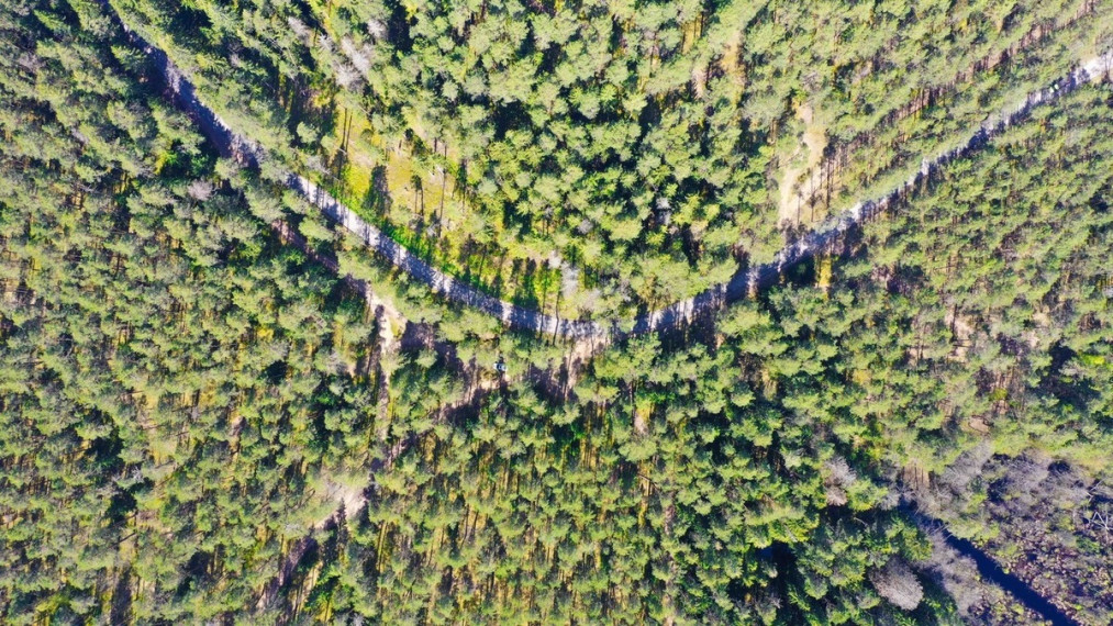 Parduodamas sklypas Šeškučių kaime, Vilniaus r., netoli Tapelio ežero, su į sklypą įeinančiu Lydekinio ežeru, 519 a ploto 12