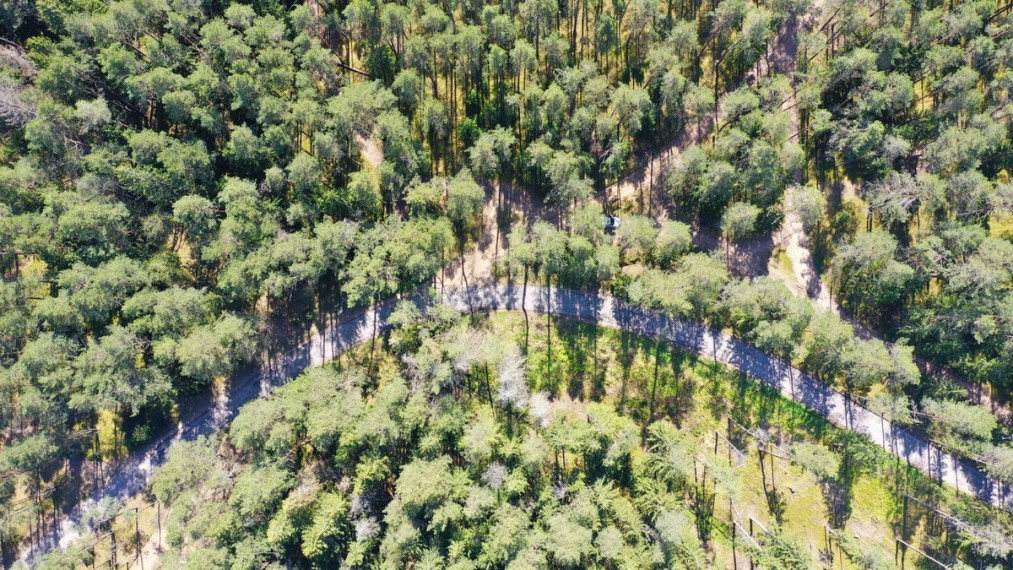Parduodamas sklypas Šeškučių kaime, Vilniaus r., netoli Tapelio ežero, su į sklypą įeinančiu Lydekinio ežeru, 519 a ploto 13
