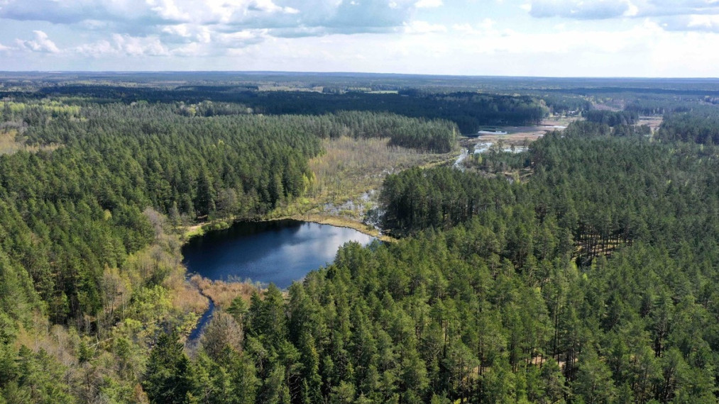 Parduodamas sklypas Šeškučių kaime, Vilniaus r., netoli Tapelio ežero, su į sklypą įeinančiu Lydekinio ežeru, 519 a ploto 14