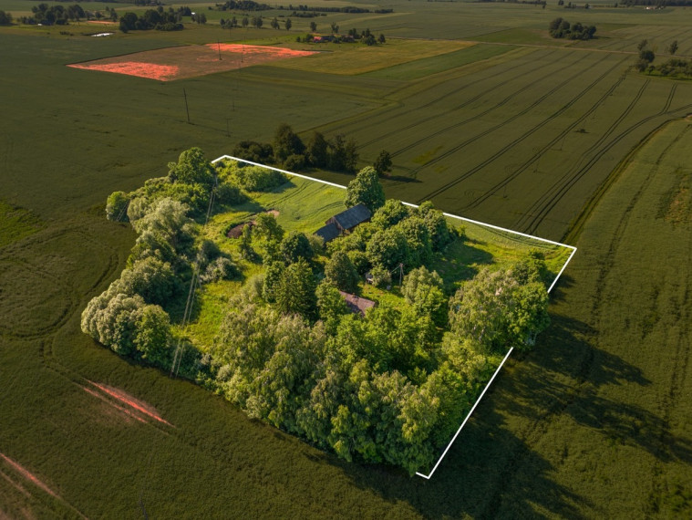 Parduodamas namas Alytaus r. sav., Plasapninkų k., Obelties, 57.37 m2 ploto, 1 aukštai 5
