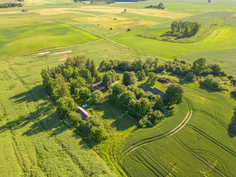 Parduodamas namas Alytaus r. sav., Plasapninkų k., Obelties, 57.37 m2 ploto, 1 aukštai 1